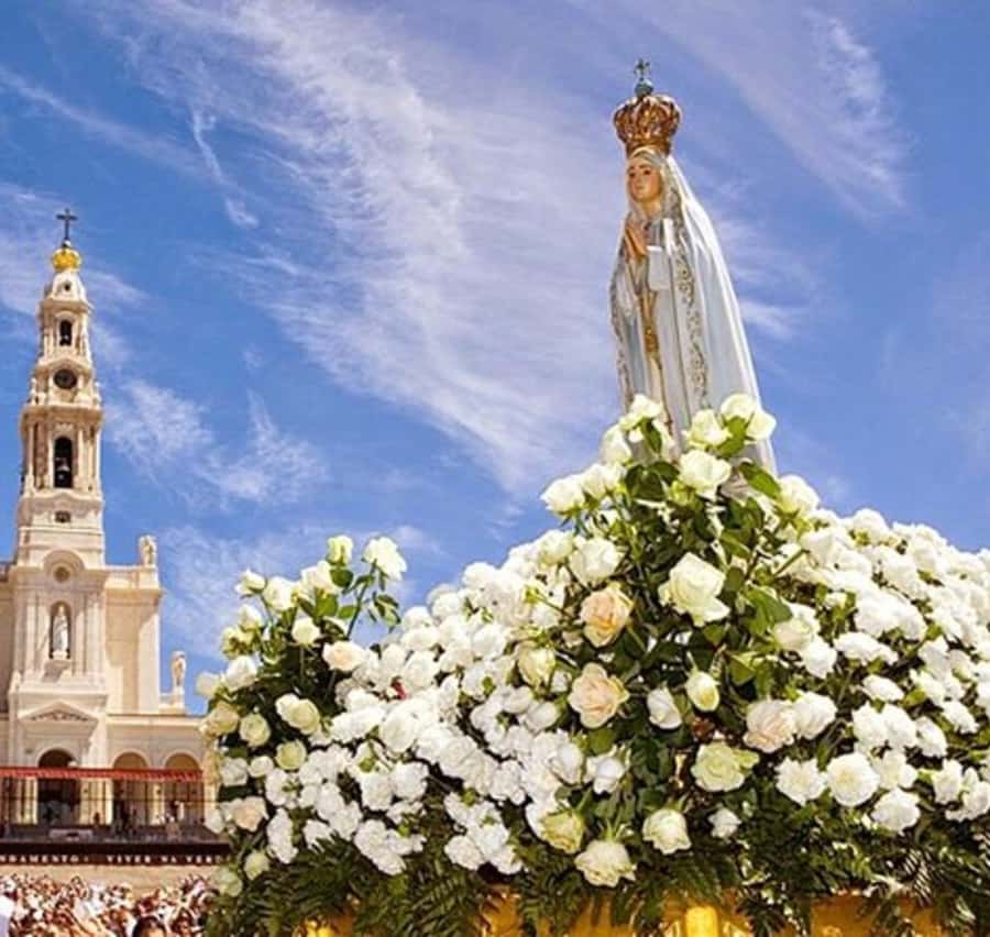 Galería de fotos para redes