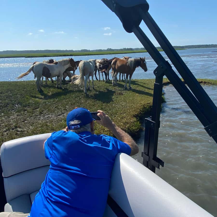 Chincoteague: Premier Pony Wildlife Small Group Boat Tour