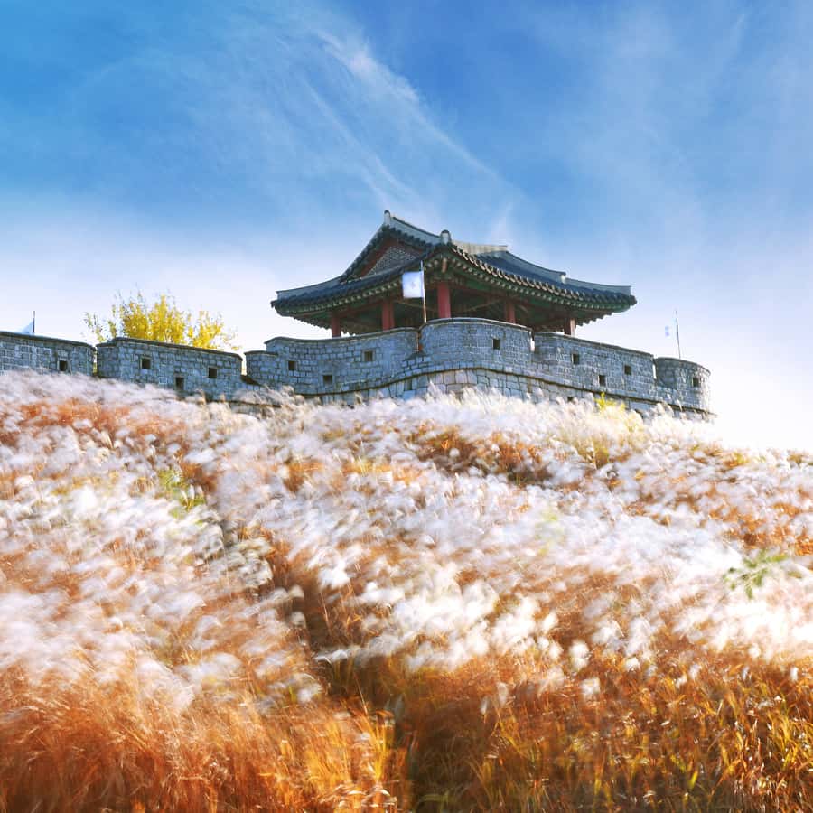 서울에서 출발 수원화성 투어 | GetYourGuide
