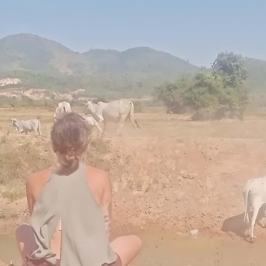 Colagem de mídia