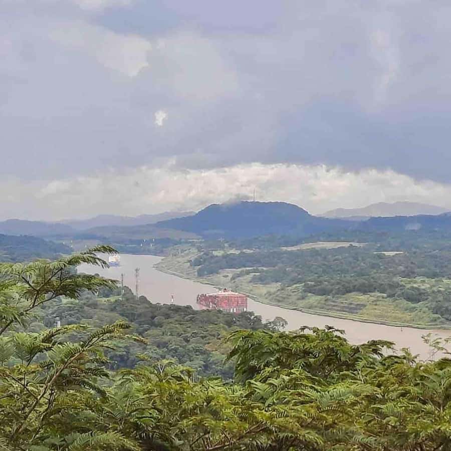Colagem de mídia