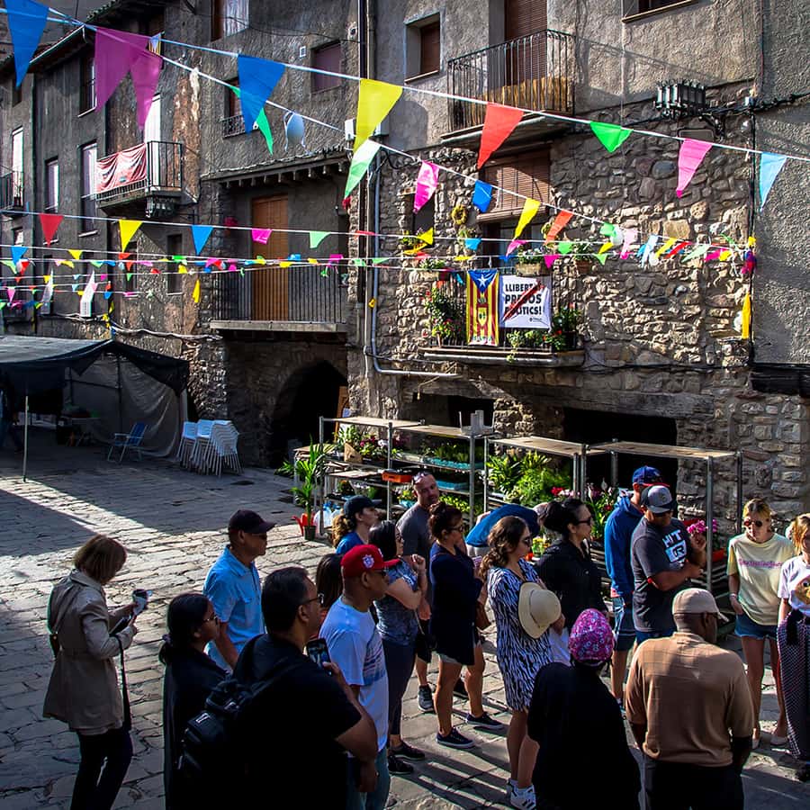 Galería de fotos para redes