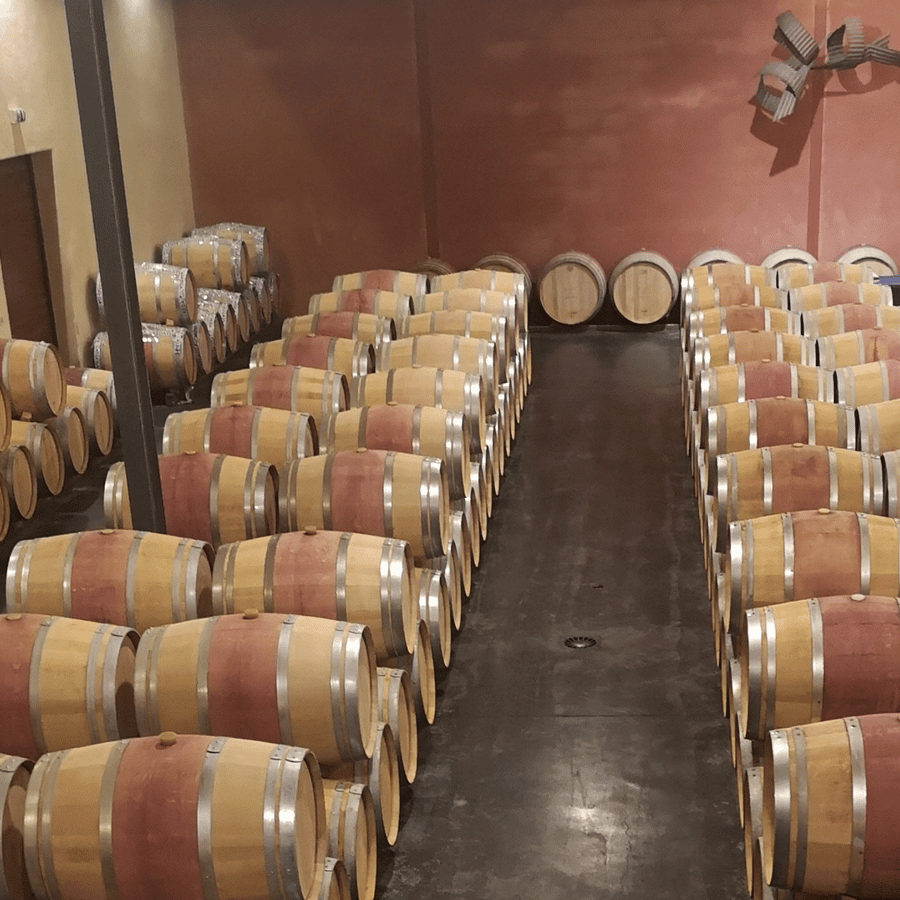 Ruta del vino de Médoc desde Burdeos: 2 bodegas y 6 vinos | GetYourGuide, image size:900x900