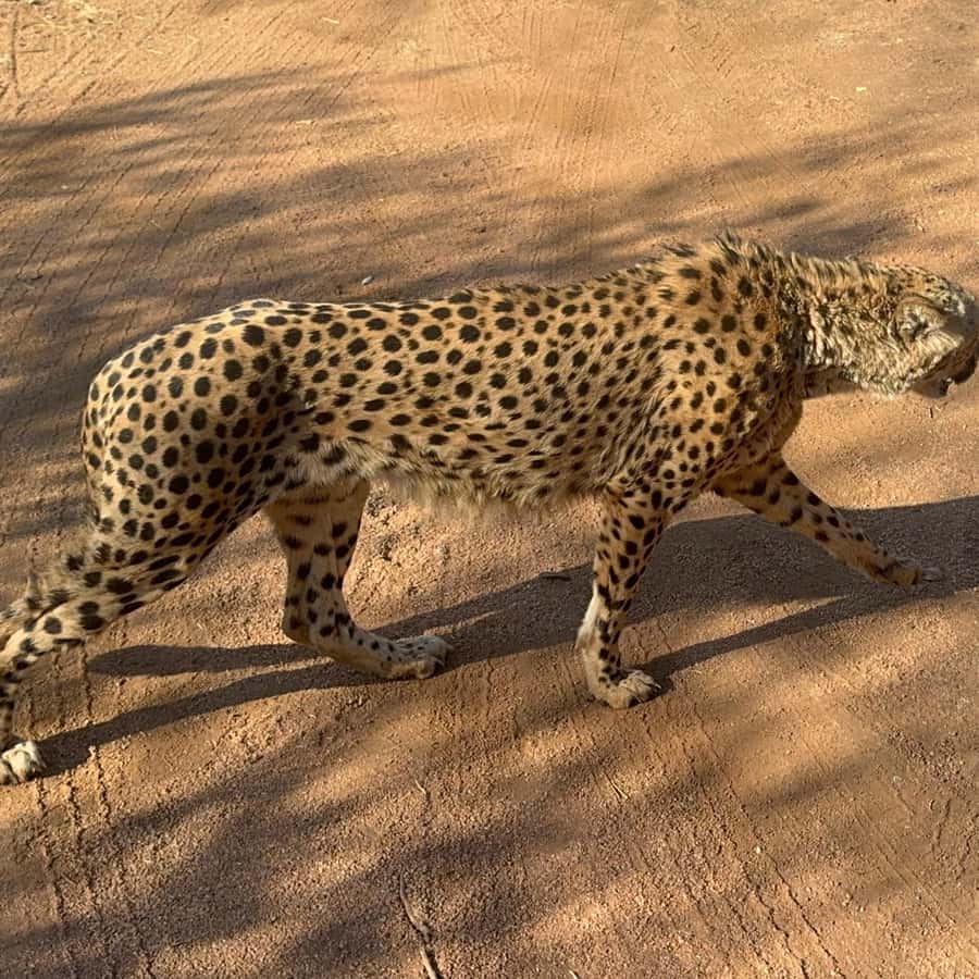 メディア コラージュ