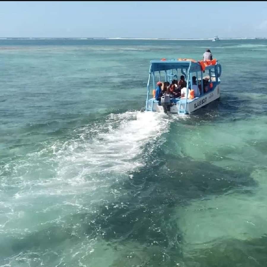 Diani Beach: Glass Boat Cruise to Robinson Island | GetYourGuide