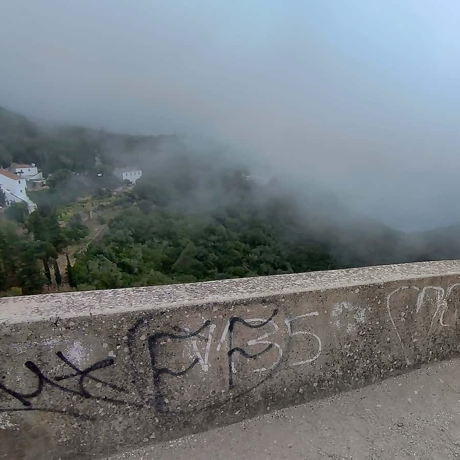 Galería de fotos para redes