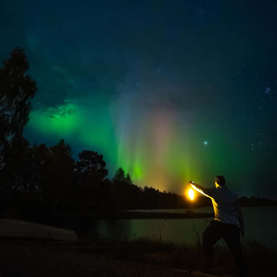 Galería de fotos para redes