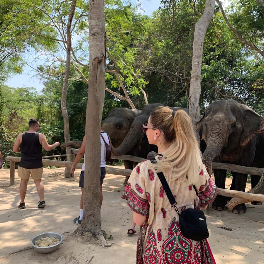 Kulen Elephant Forest & Tonlesap Lake Include boat /Transfer