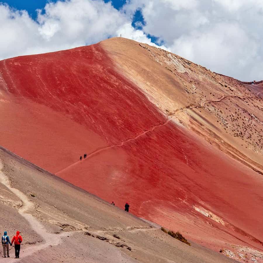 Galería de fotos para redes