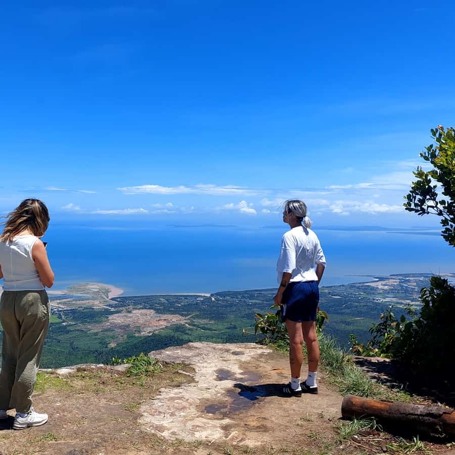 Colagem de mídia