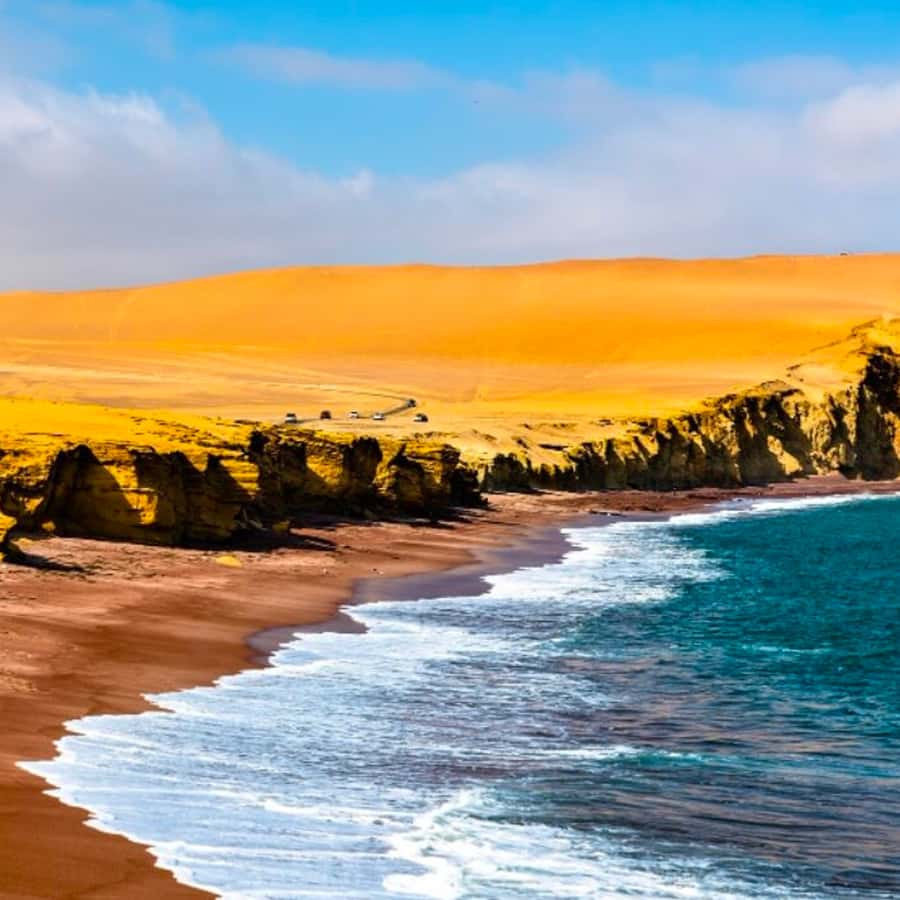 Galería de fotos para redes