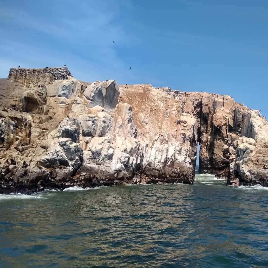 Galería de fotos para redes