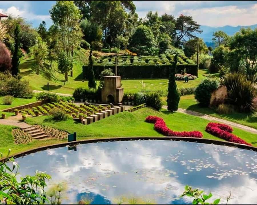 Colagem de mídia