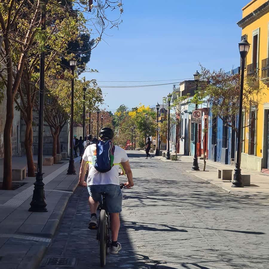 Galería de fotos para redes