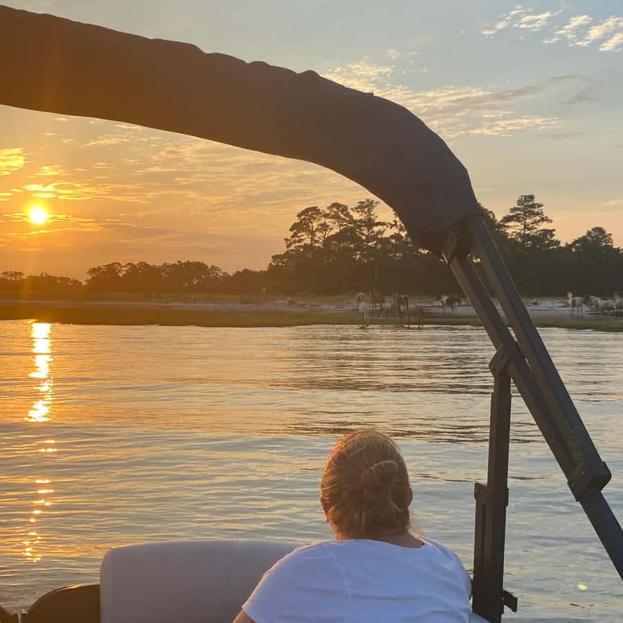 Chincoteague: Premier Pony & Wildlife Small Group Boat Tour