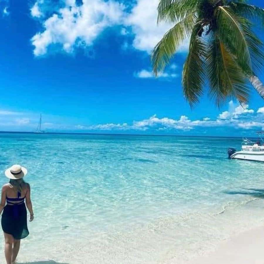 All-Inclusive Excursion to Saona Island from Punta Cana: Lunch and Open Bar