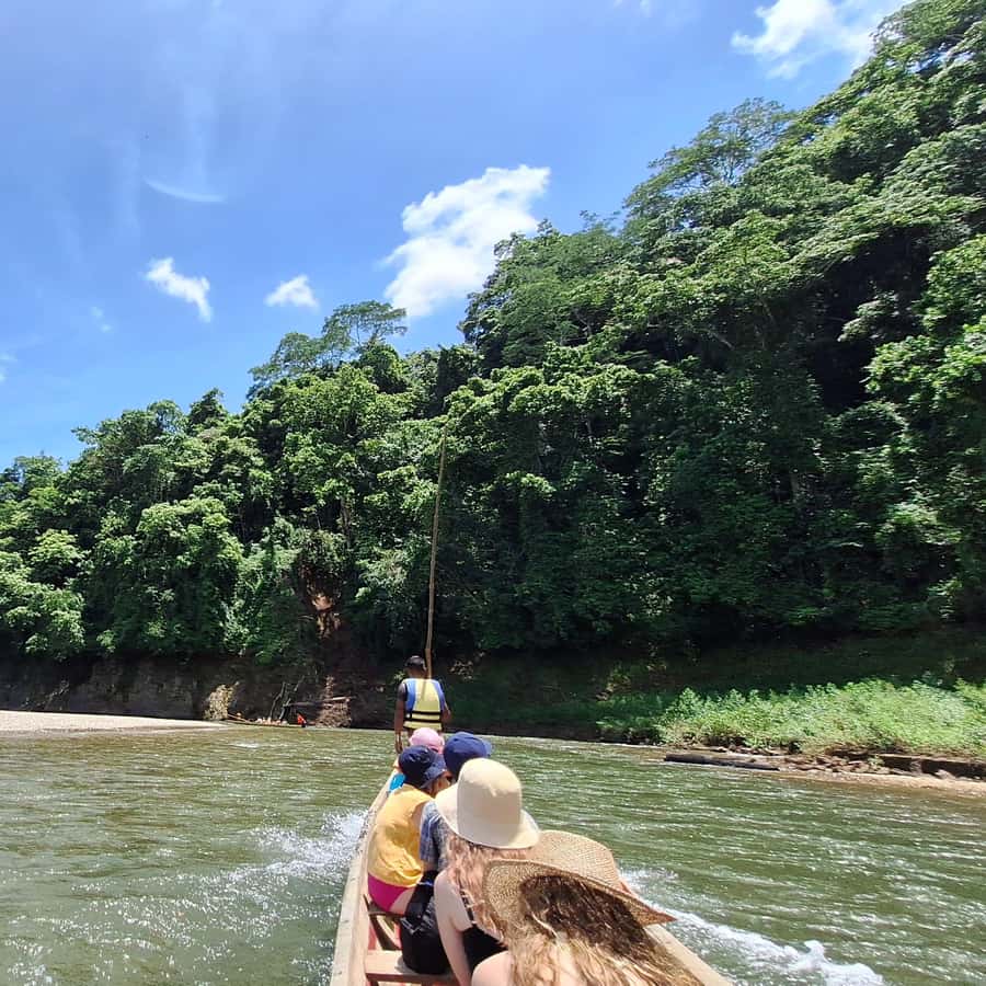 Colagem de mídia