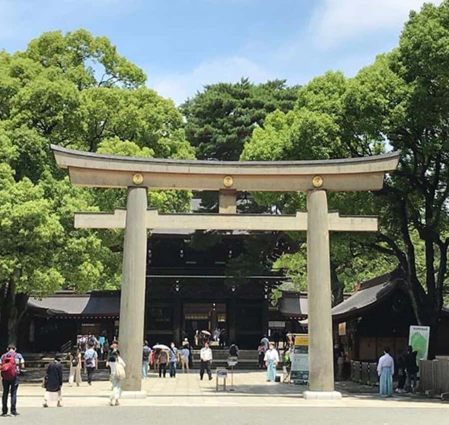 メディア コラージュ