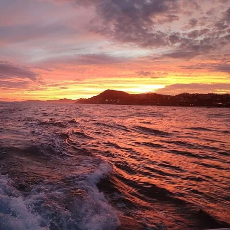 Cabo Sunset Arch Private Yacht Tour plus Dinner and Drinks