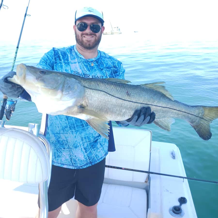 Sarasota Florida: Skyway Fishing Tours GetYourGuide