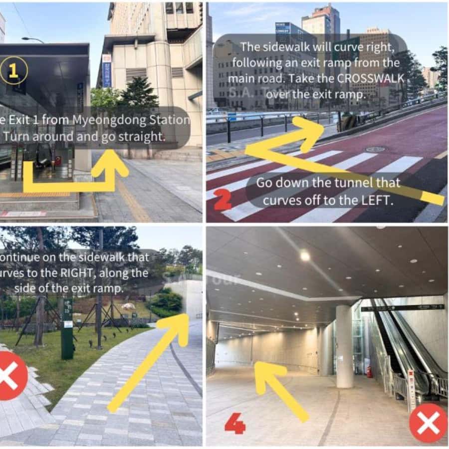 Galería de fotos para redes