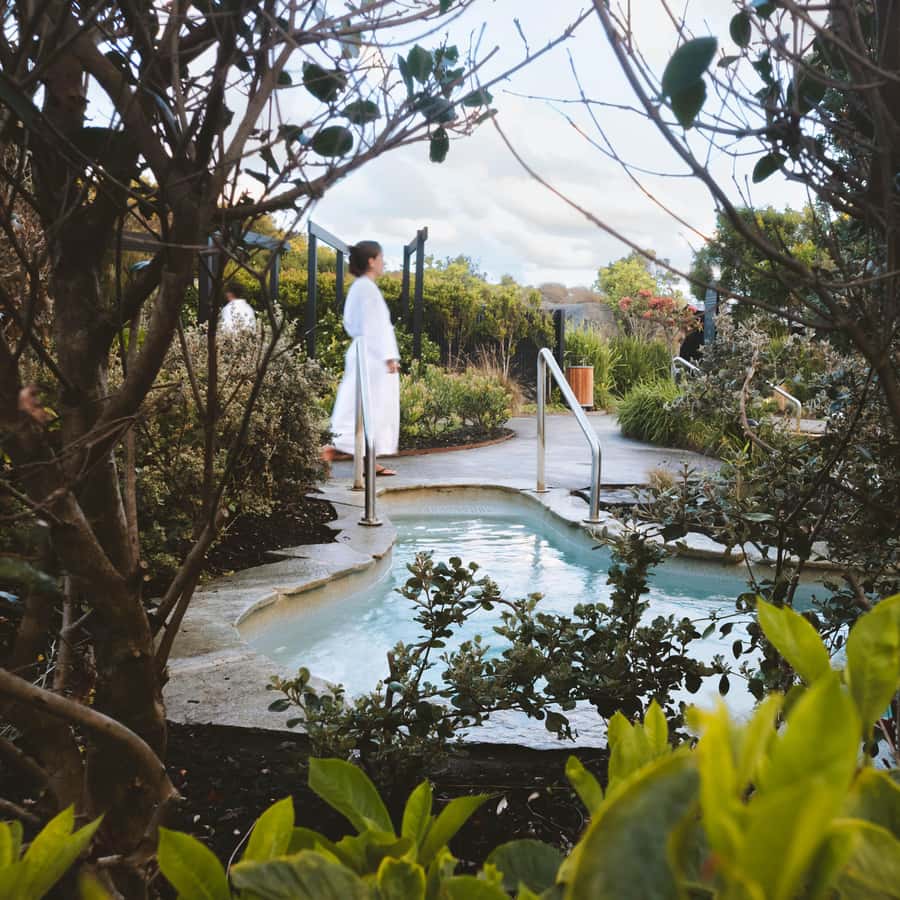 Warrnambool: Hot Springs Sanctuary Experience