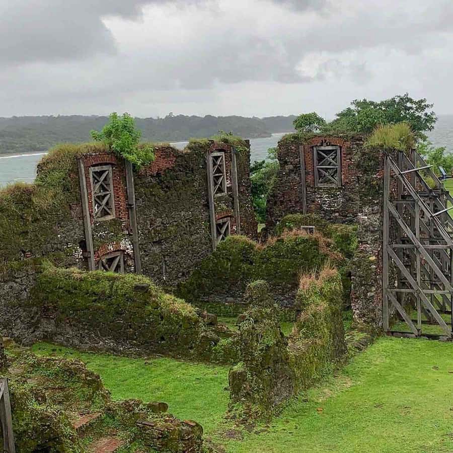 Colagem de mídia