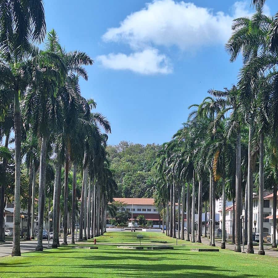 Colagem de mídia