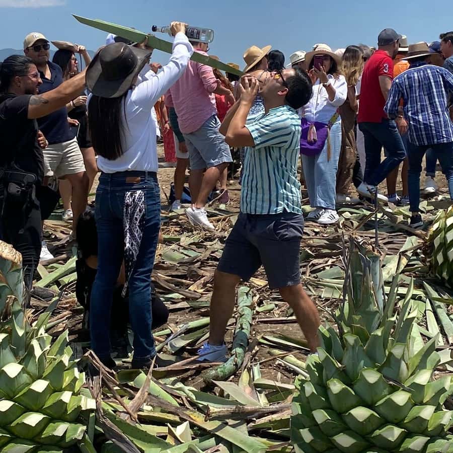 Galería de fotos para redes