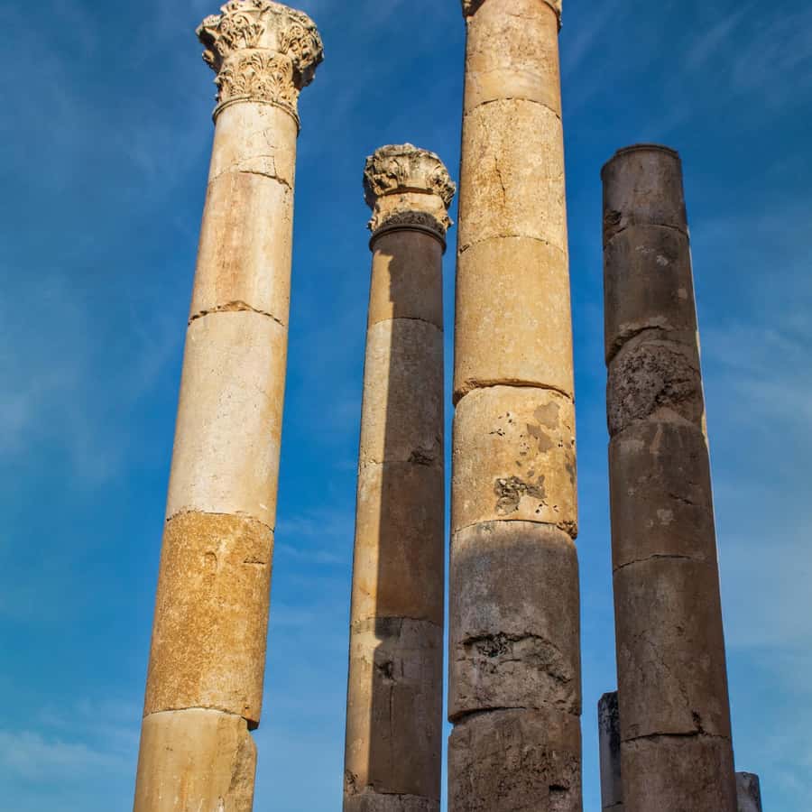 Colagem de mídia