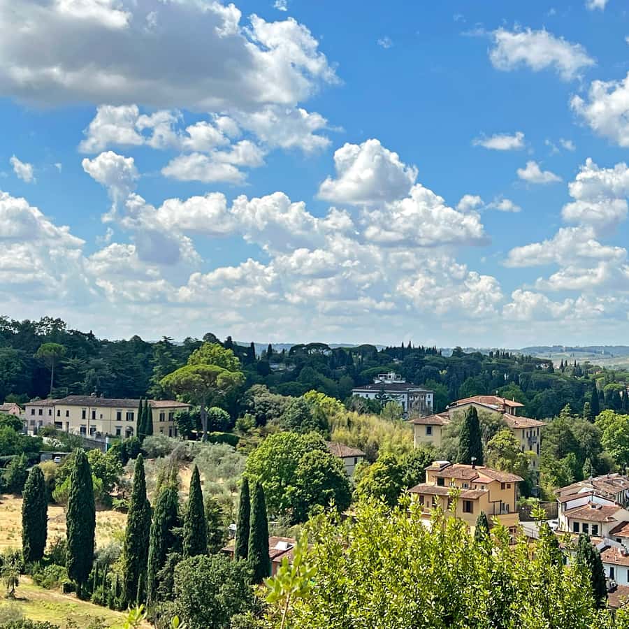 ヴィンチェンツォとフィレンツェの丘でパノラマハイキング | GetYourGuide