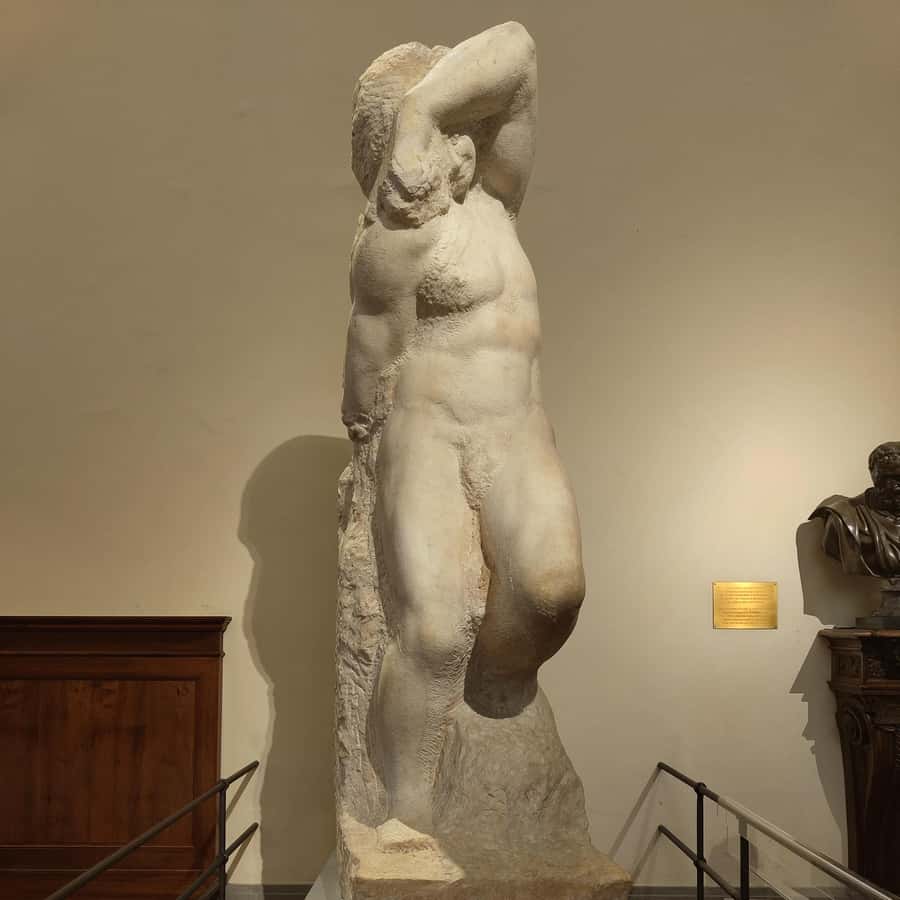 Galerie média