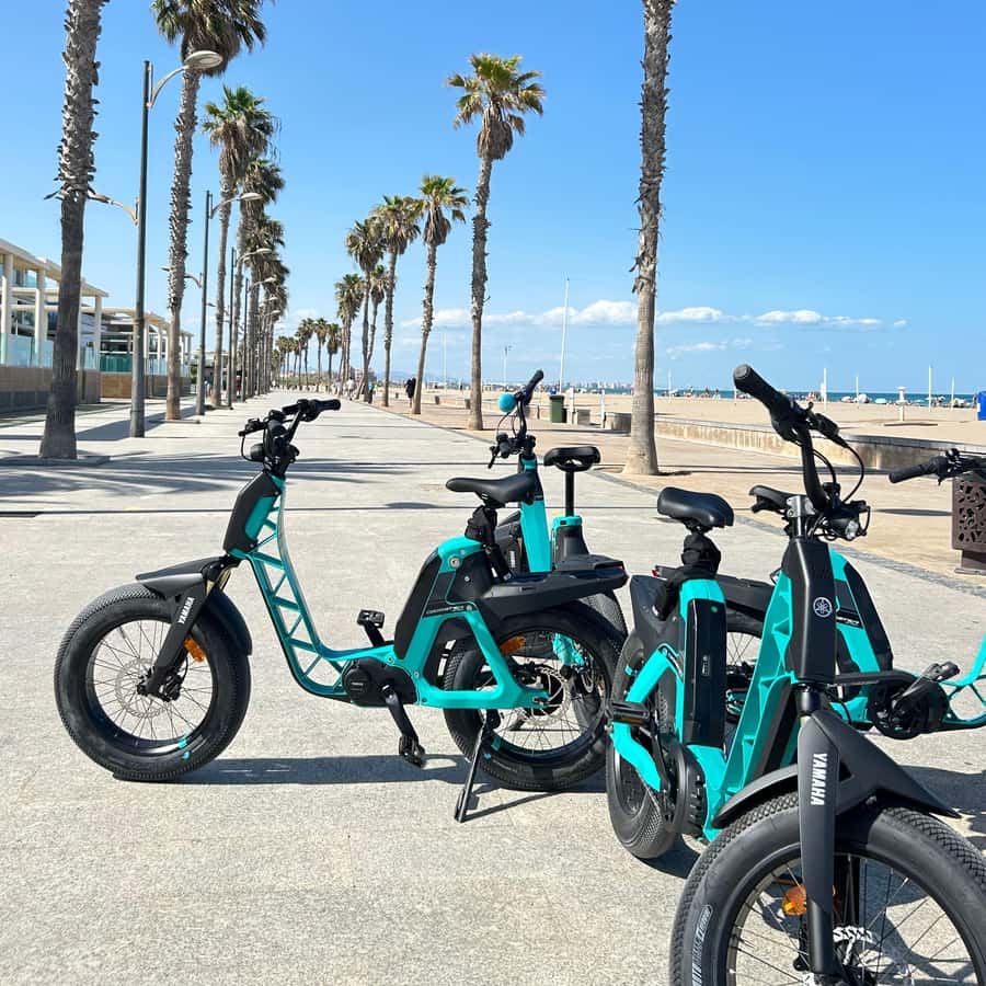 Electric Bike Yamaha Bicicletta Elettrica Valencia: FAT BIKE