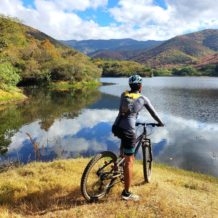 Dari Oaxaca: Tur Sepeda Gunung Terpanduan, Pohon Tule Danau