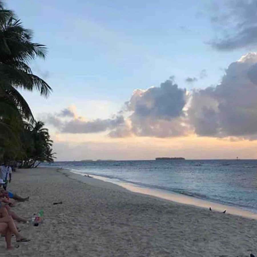 Galería de fotos para redes