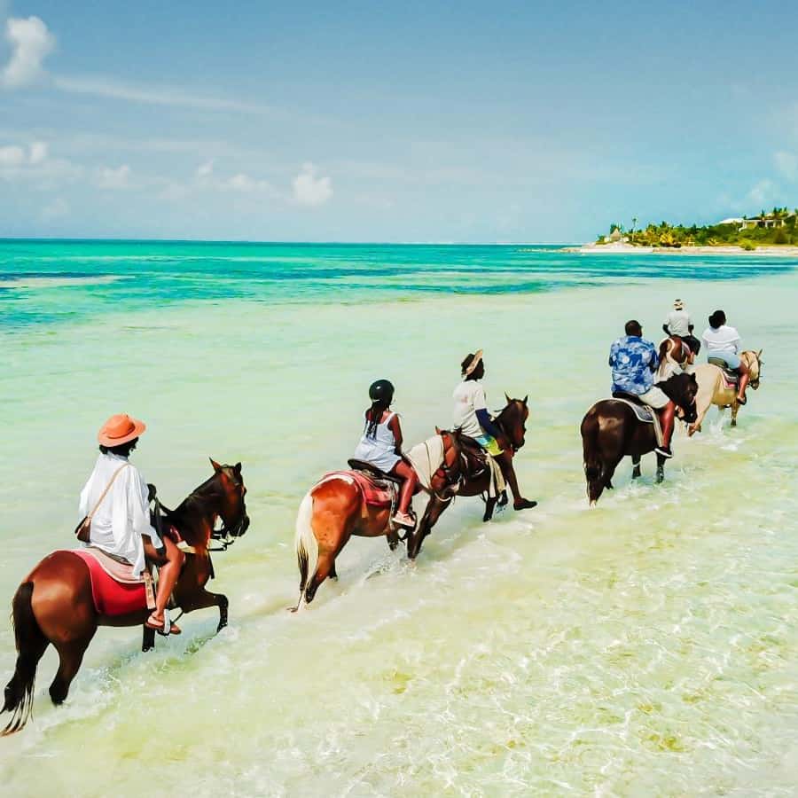 Providenciales: Beach and Ocean Horseback Riding Adventure