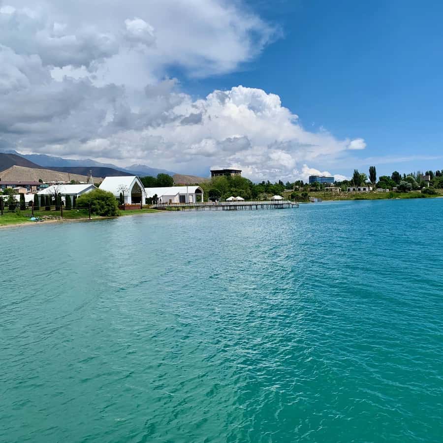 Eski maydalagichdan nima qilish mumkin?