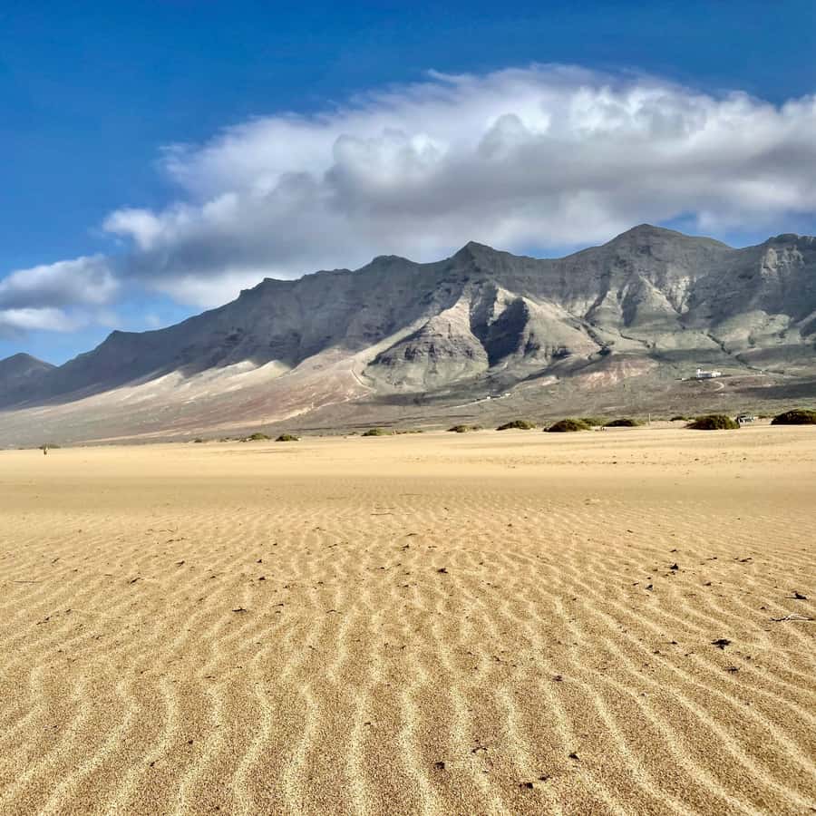 Galería de fotos para redes