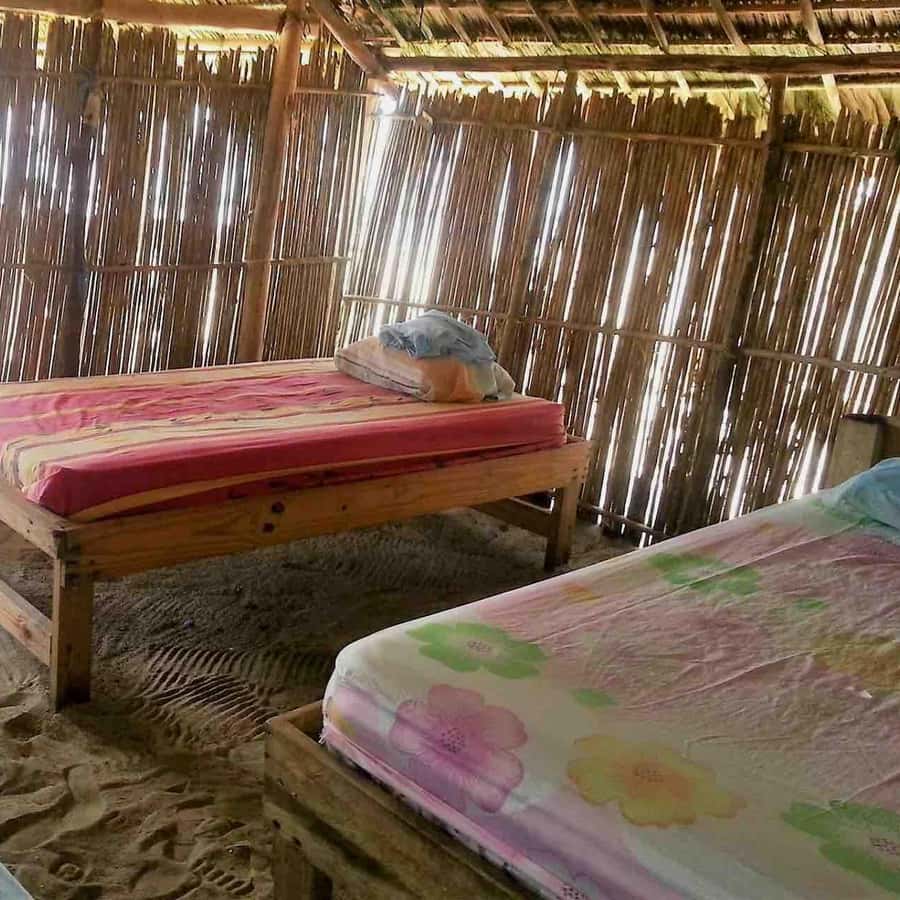 Galería de fotos para redes