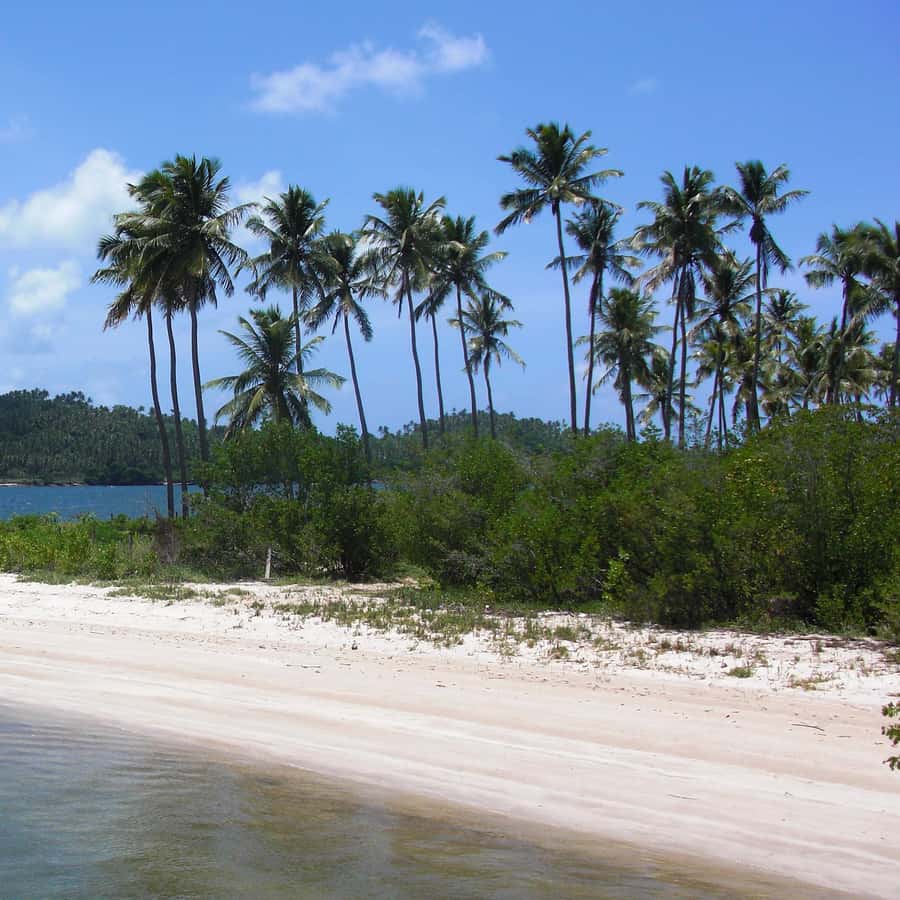Colagem de mídia
