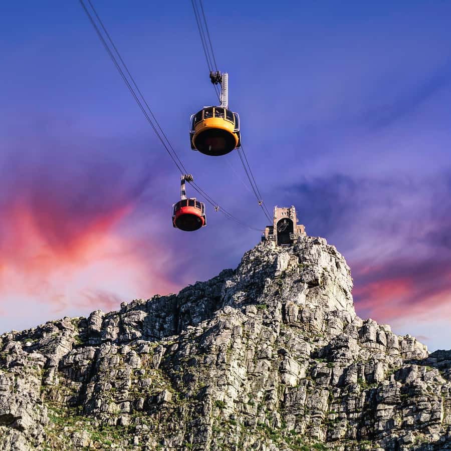 Cape Town Tour: Table Mountain, Penguins & Cape Point+Pickup