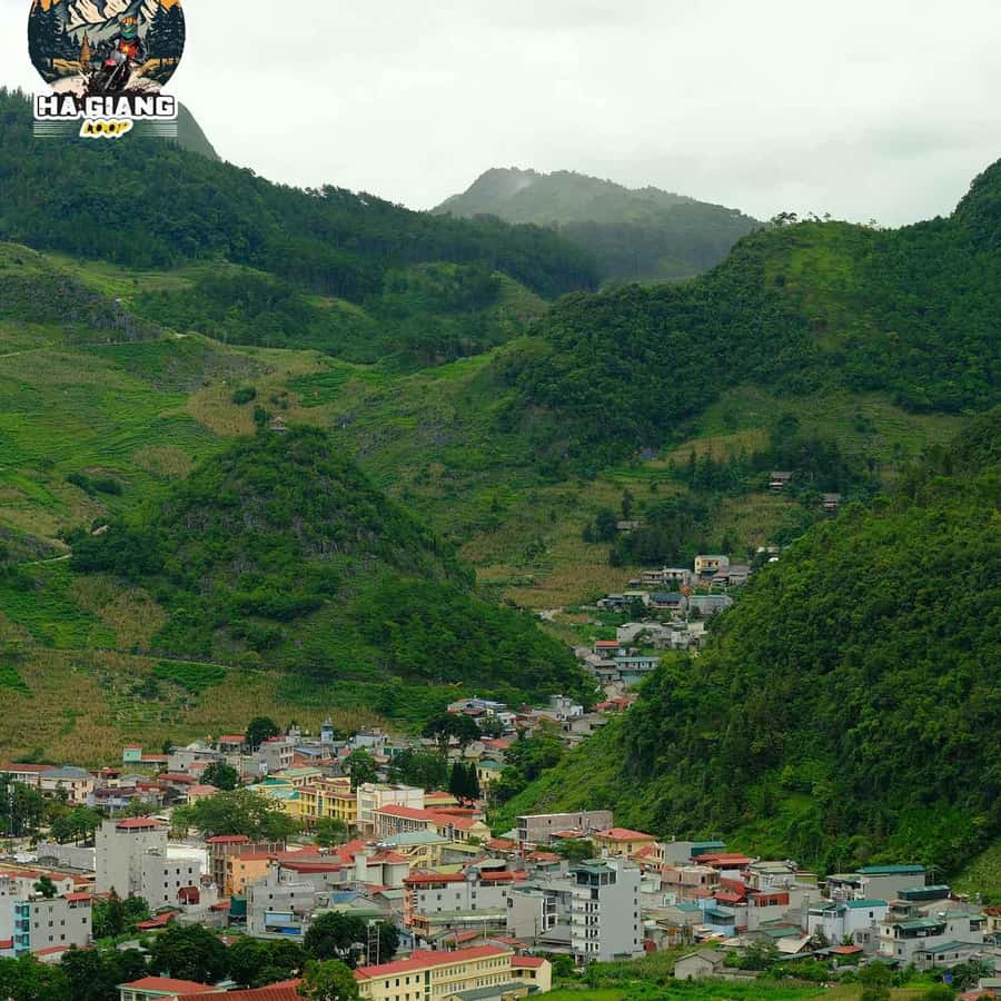 Galería de fotos para redes