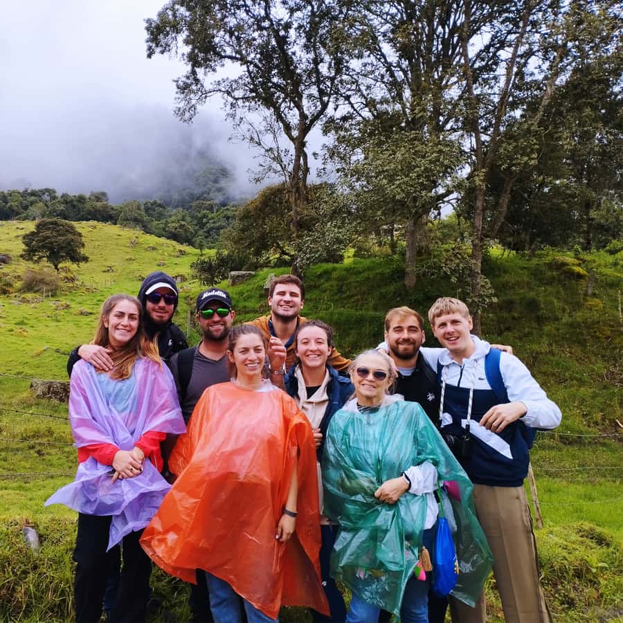 Colagem de mídia