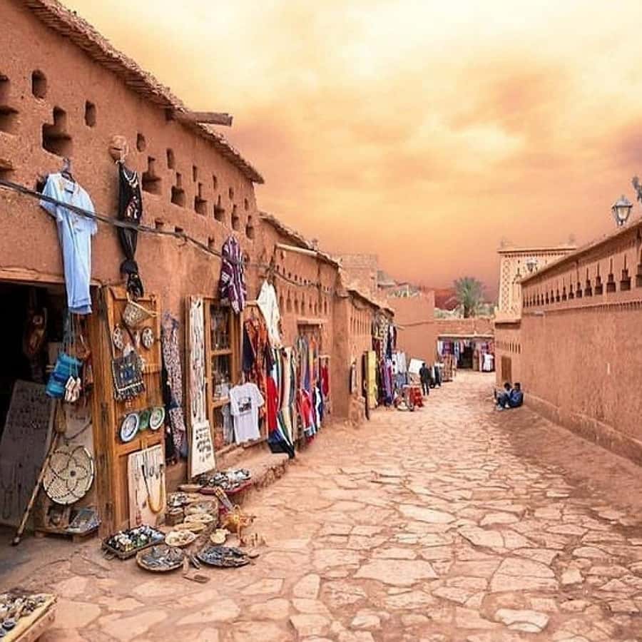 Galería de fotos para redes