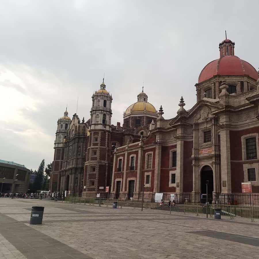과달루페 대성당: 개인 맞춤형 도보 투어 | GetYourGuide, image size:900x900