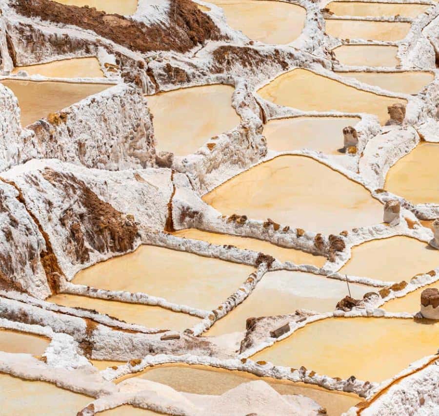 Galería de fotos para redes