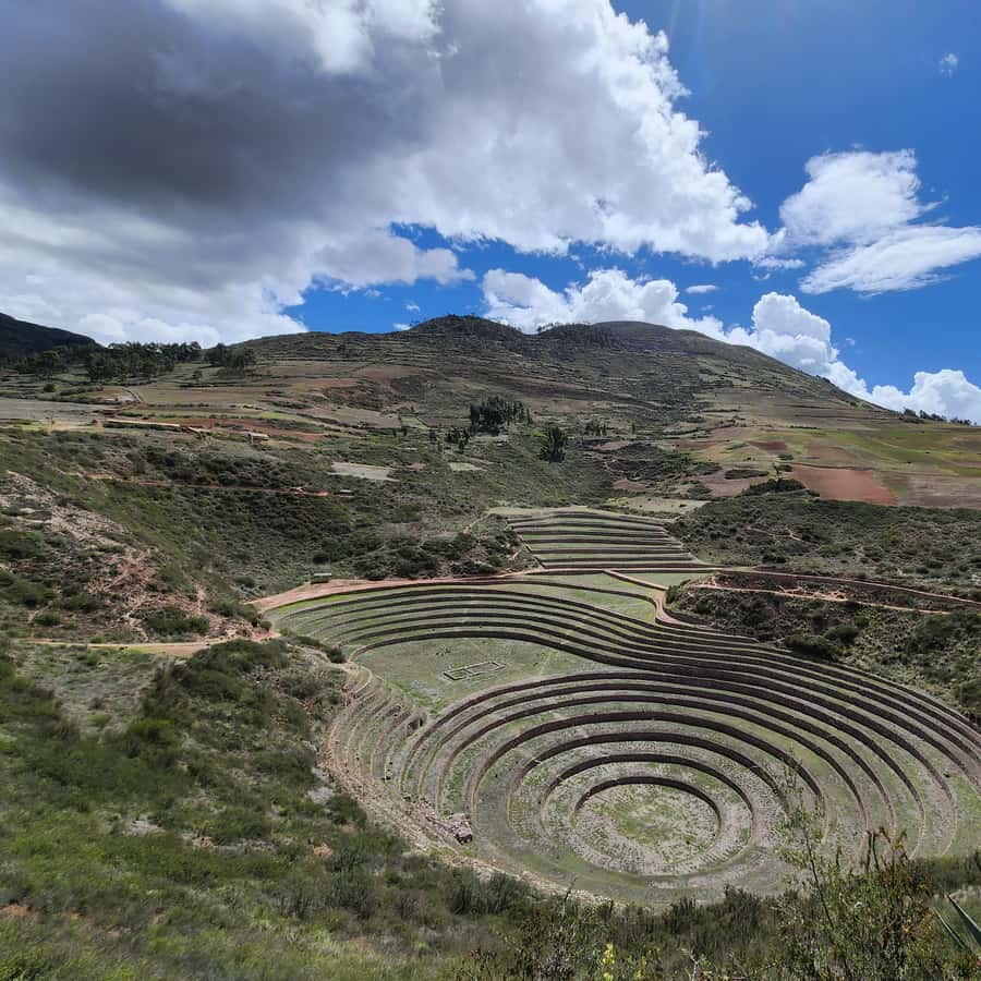 Galería de fotos para redes