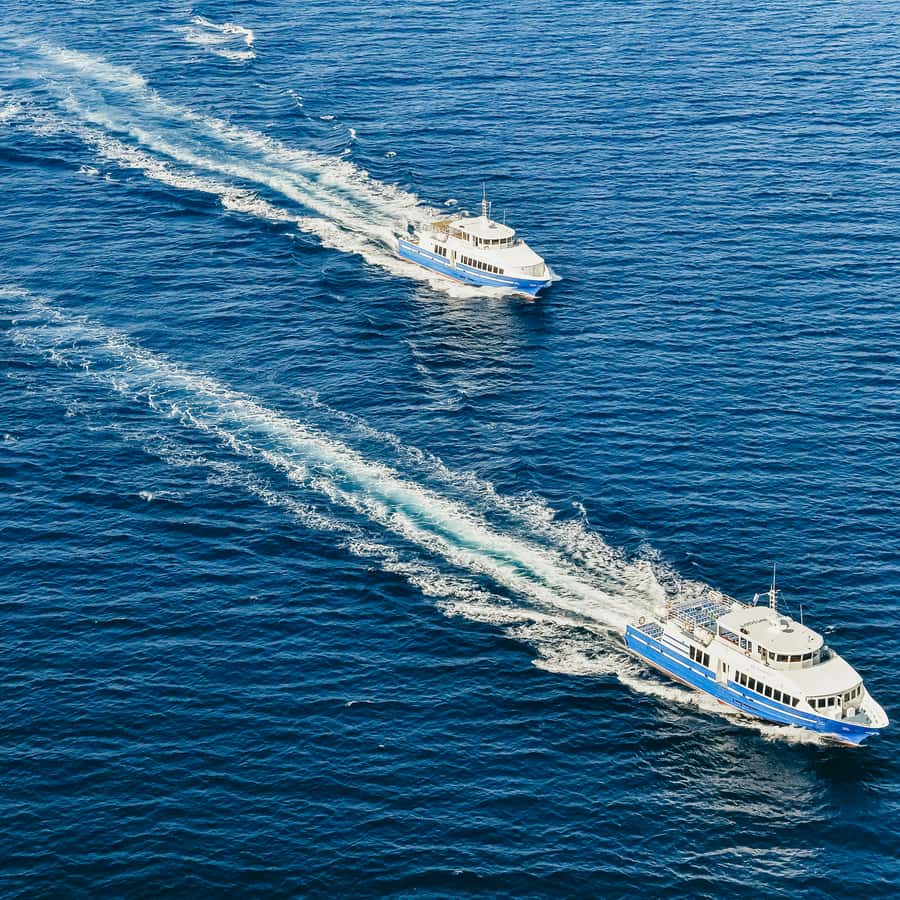 From Nice: Round-Trip Transportation to Saint Tropez by Boat