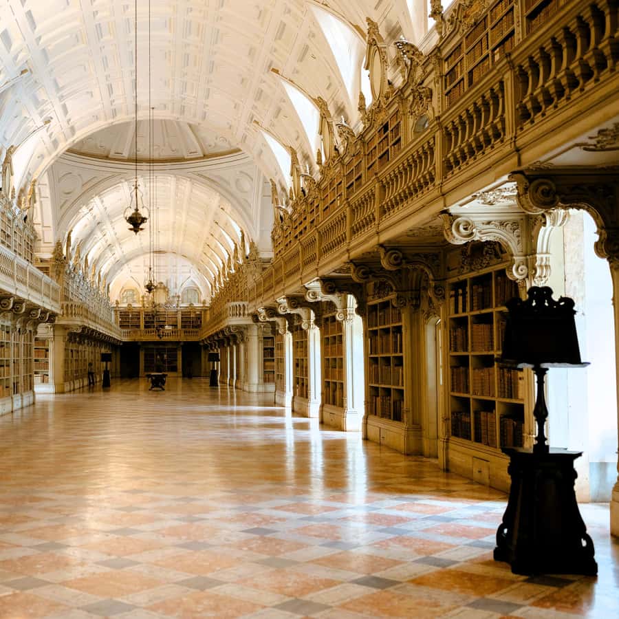 Galerie média