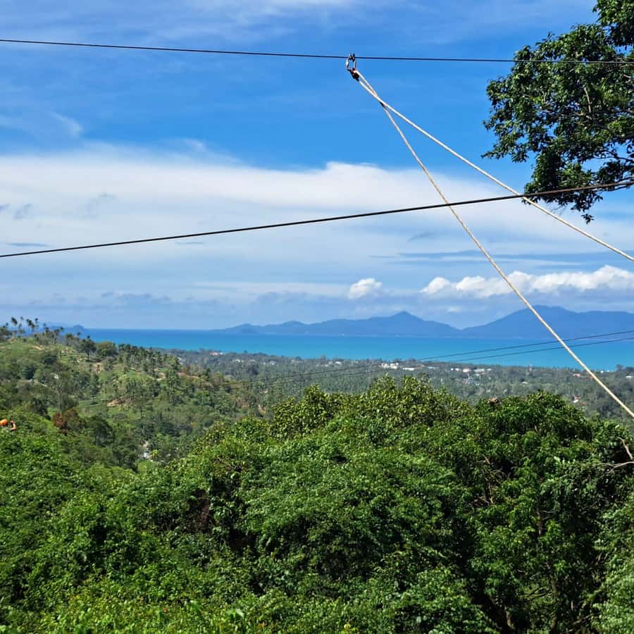 From Koh Samui: Tree Bridge Zipline and Café Experience